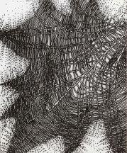 Drawing by Paulus Berensohn.