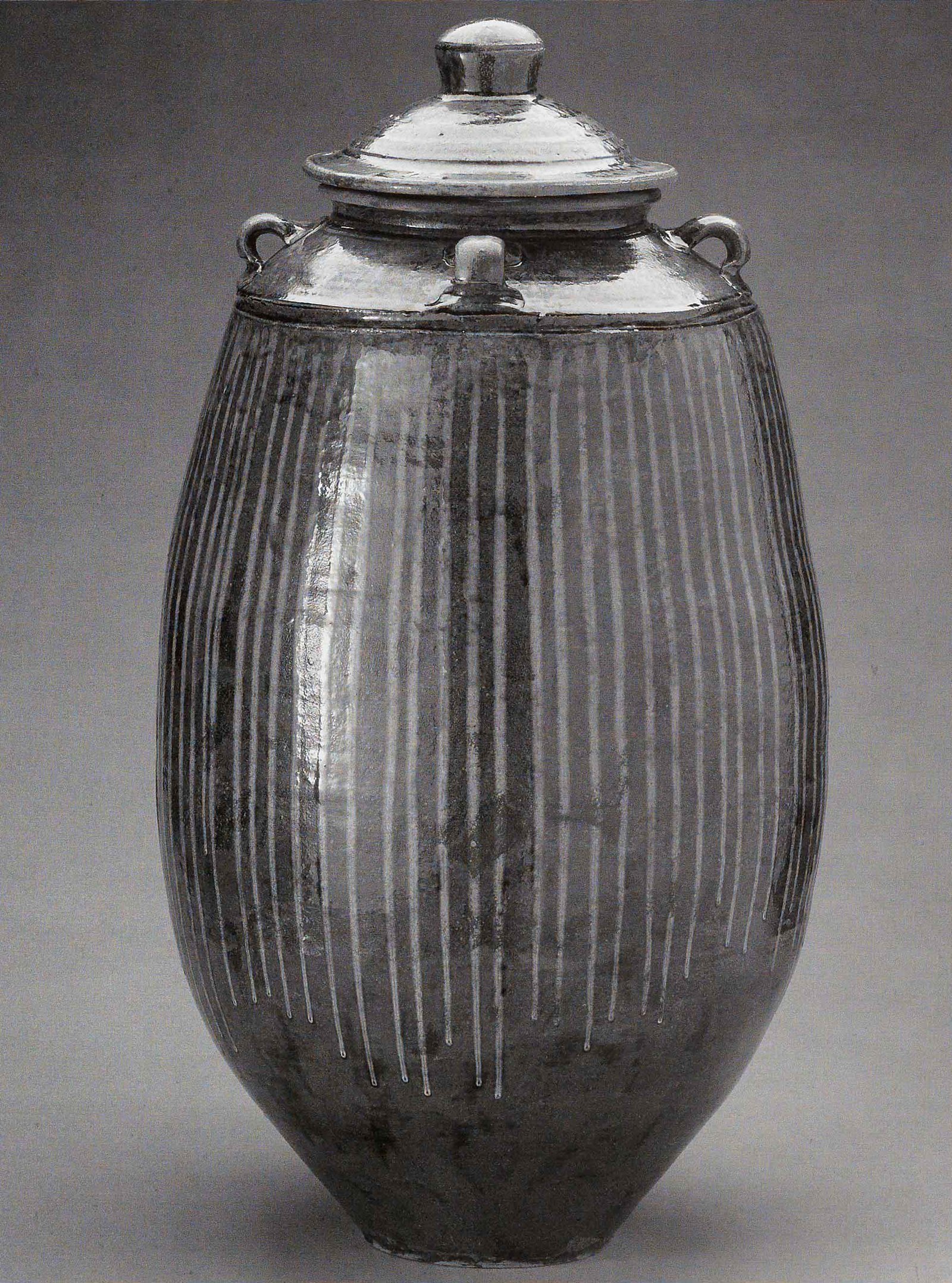 Grain Jar, March 2005. Cone 10 woodfired stoneware, ash glaze over porcelain and local clay slips. H 36" x W 16". Photograph by VanZandenbergen. Grain Jar, March 2005. Cone 10 woodfired stoneware, ash glaze over porcelain and local clay slips. H 36" x W 16". Photograph by VanZandenbergen.